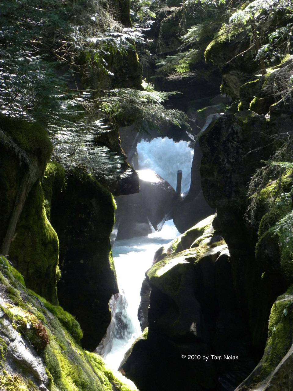 Avalanch Creek
